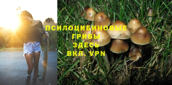 тгк Армянск