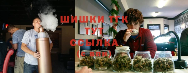 тгк Армянск