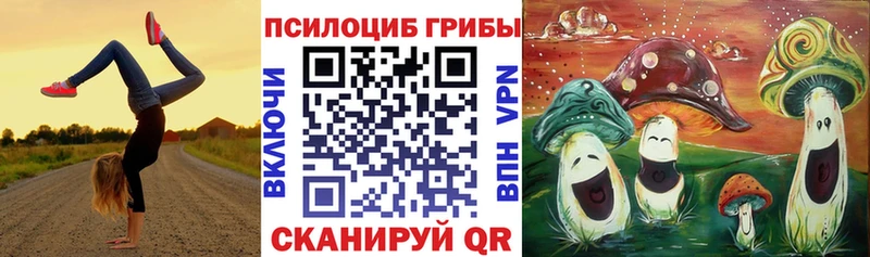 Псилоцибиновые грибы мухоморы  мориарти какой сайт  Рузаевка 